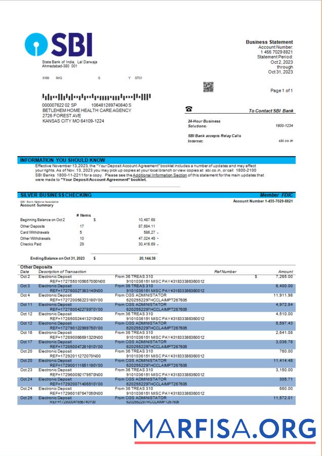 Blank State Bank of India company account statement Word and PDF template